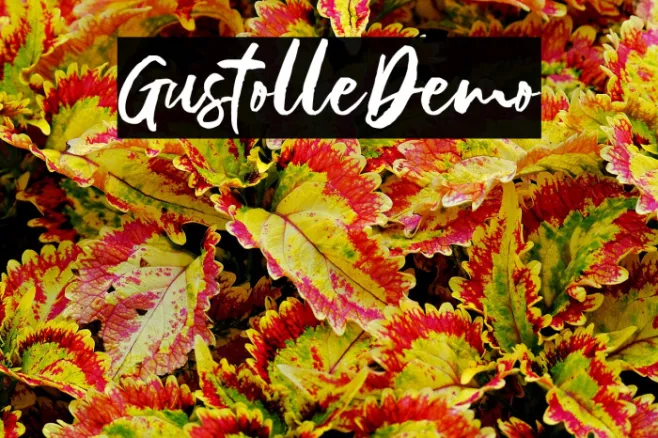 GustolleDemo Example 1