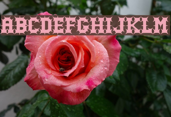 Gutcruncher Normal Font examples