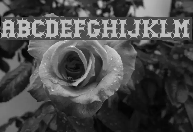Gutcruncher Normal Fonte examples