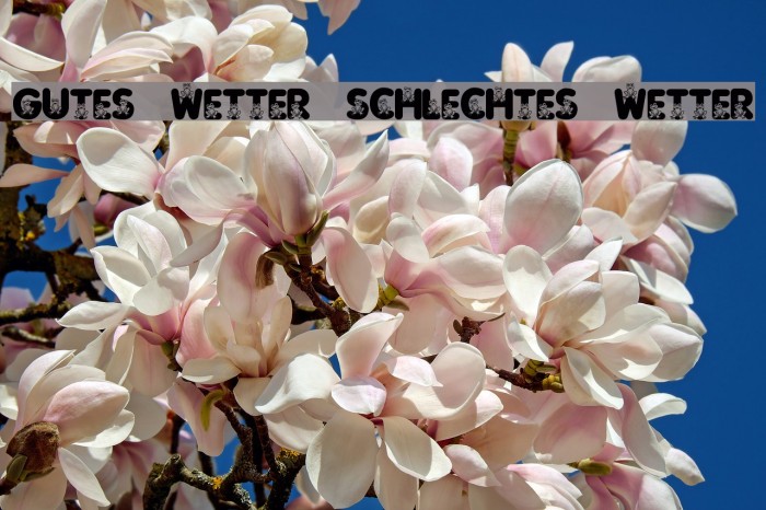 Gutes Wetter, schlechtes Wetter Font examples