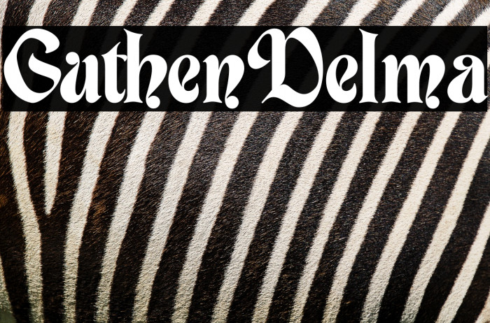 Guthen Delima Example 2