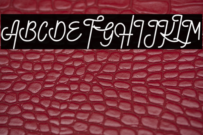 Guthers Textured_DEMO Example 2