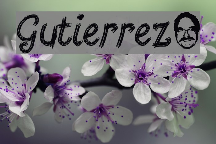 Gutierrez+ Font examples