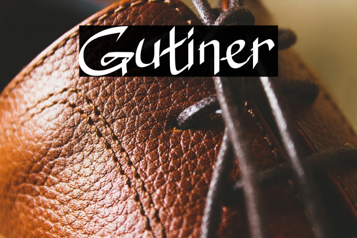 Gutiner Example 1