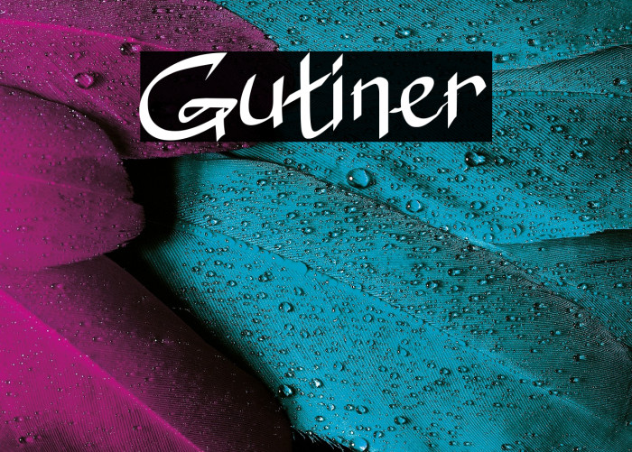 Gutiner Example 2