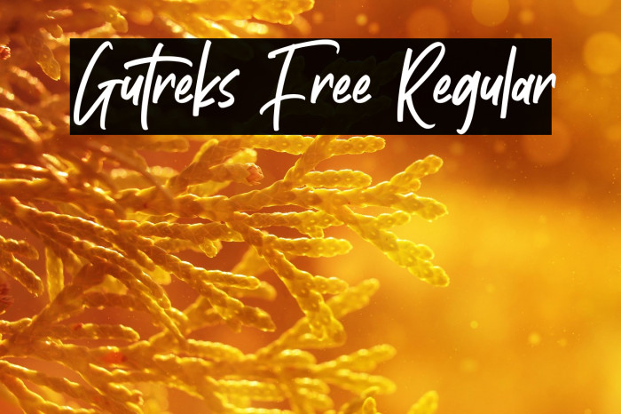 Gutreks Free Regular Example 2