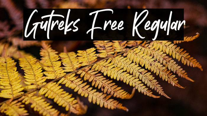 Gutreks Free Regular Example 3