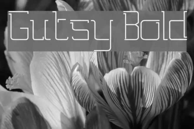 Gutsy Bold Font examples