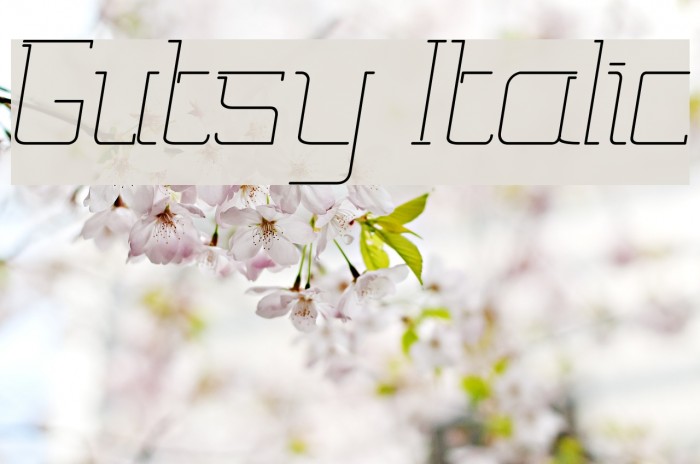 Gutsy Italic Font examples