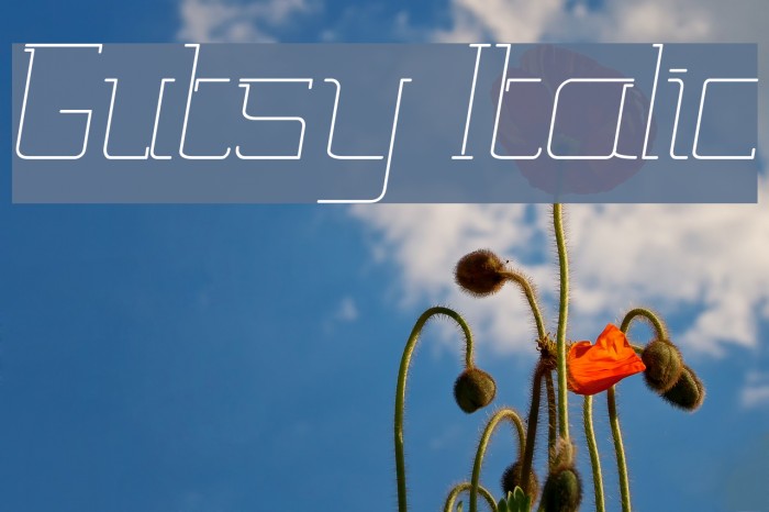 Gutsy Italic Font examples