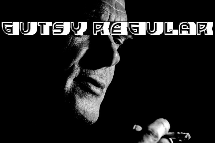 Gutsy Regular Example 1
