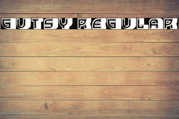 Gutsy Regular Example 2