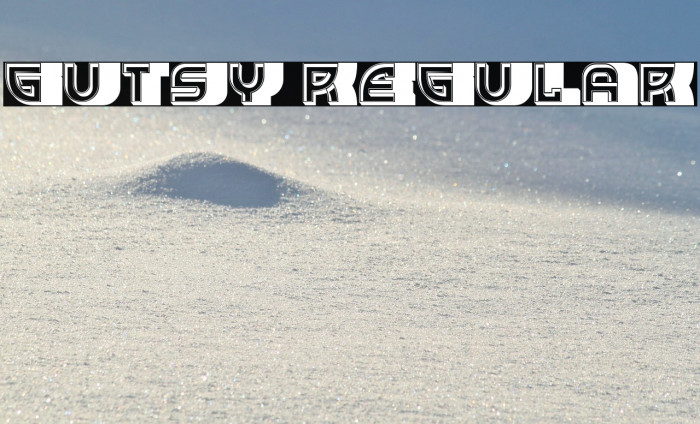 Gutsy Regular Example 3