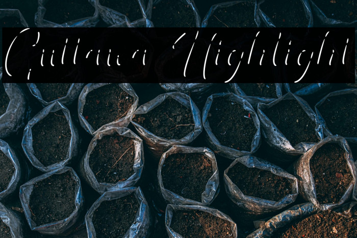 Guttawa Highlight Example 1