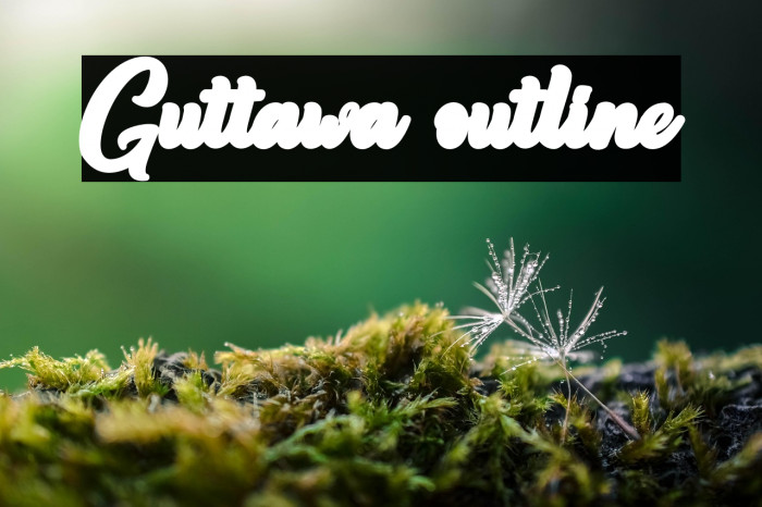 Guttawa outline Example 3