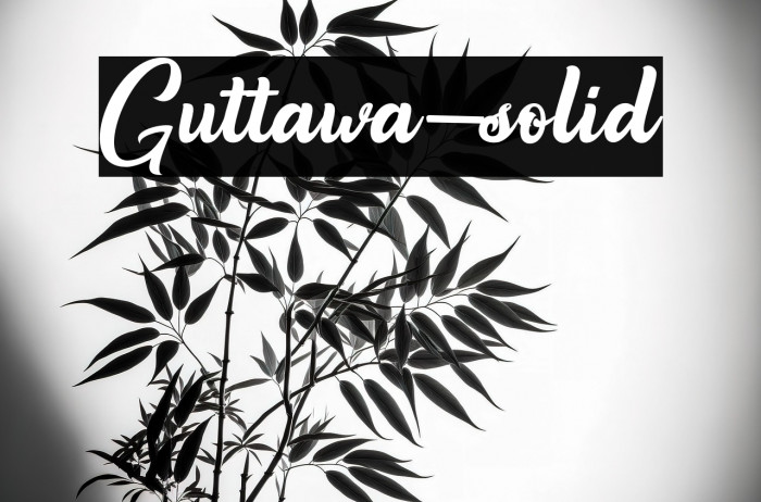 Guttawa-solid Example 1