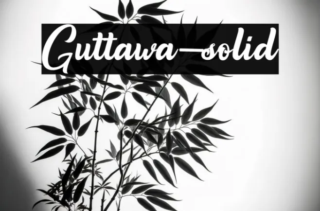 Guttawa-solid Example 1
