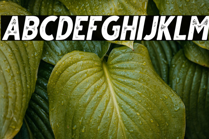 Gutter Italic Rust Example 2