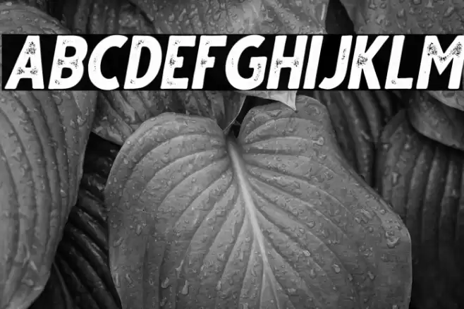 Gutter Italic Rust Font examples