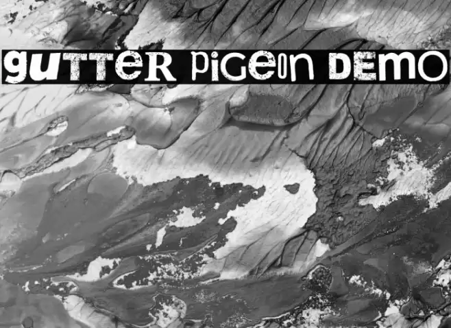 Gutter Pigeon DEMO Font examples