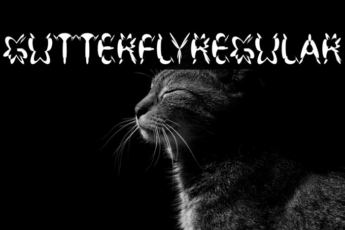 GutterflyRegular Example 2