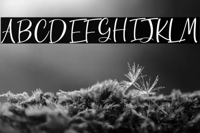 Gutterly フォント examples