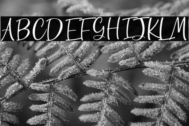 Gutterly フォント examples