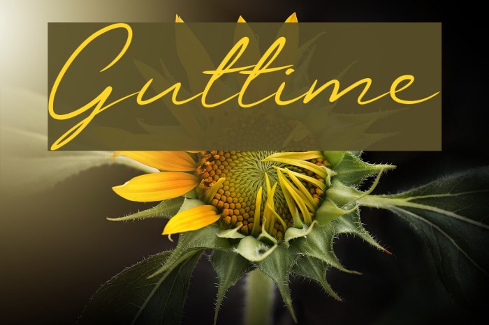 Guttime Font examples