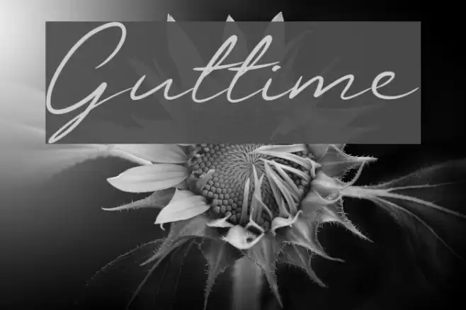 Guttime Font examples