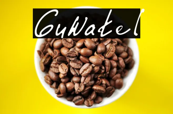 Guwatel Example 1
