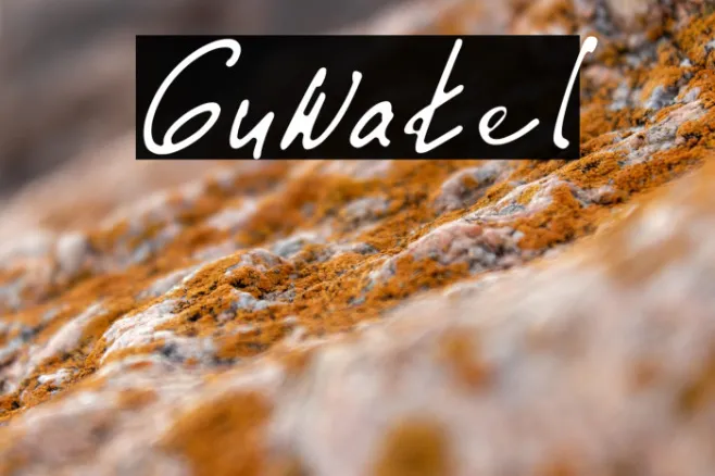 Guwatel Example 2