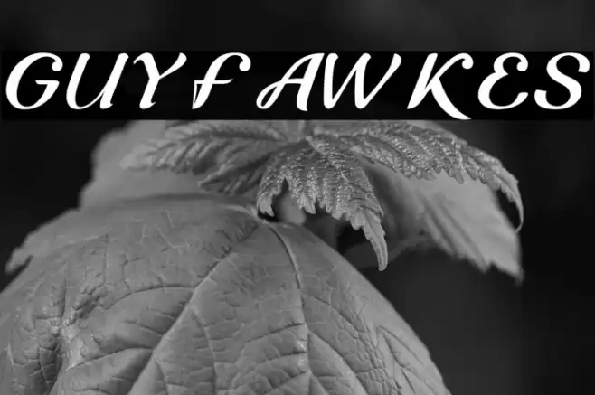 Guyfawkes Font examples