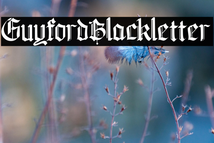 GuyfordBlackletter Example 1