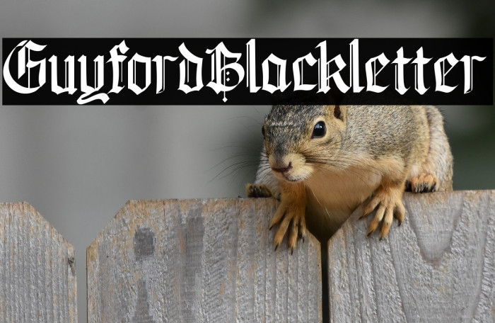 GuyfordBlackletter Example 2