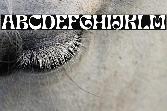 GuyonGazebo-Regular Example 1