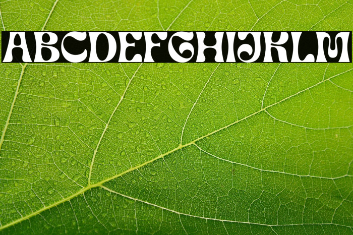 GuyonGazebo-Regular Example 2