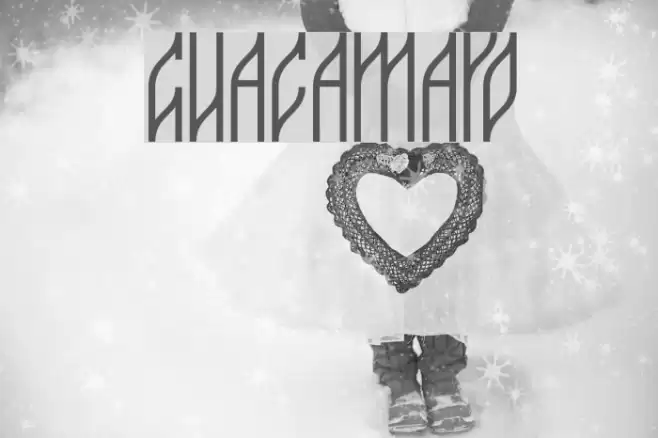 guacamayo Font examples