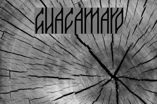 guacamayo Font examples