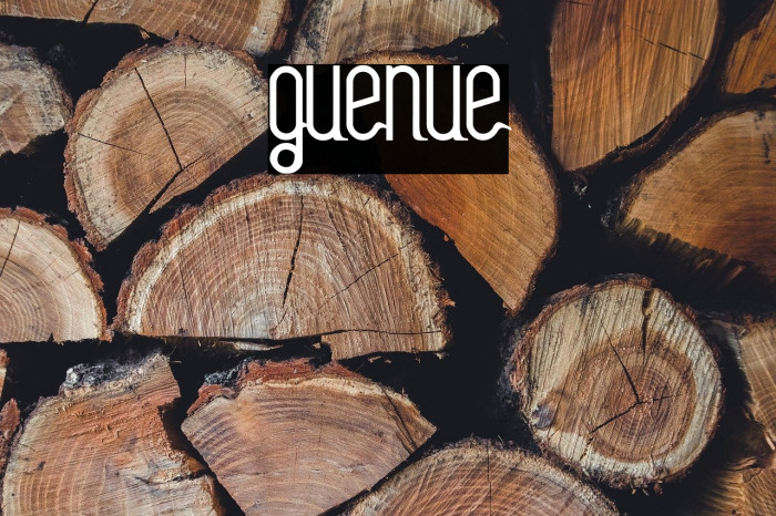 guenue Example 3