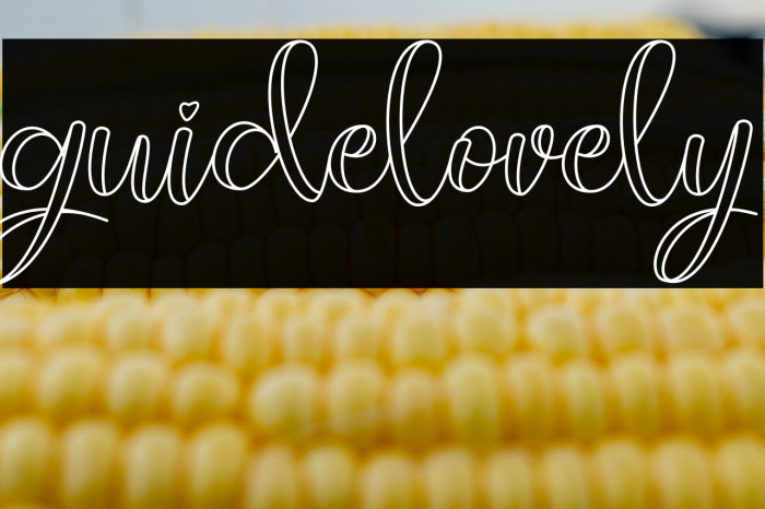 guidelovely Example 2