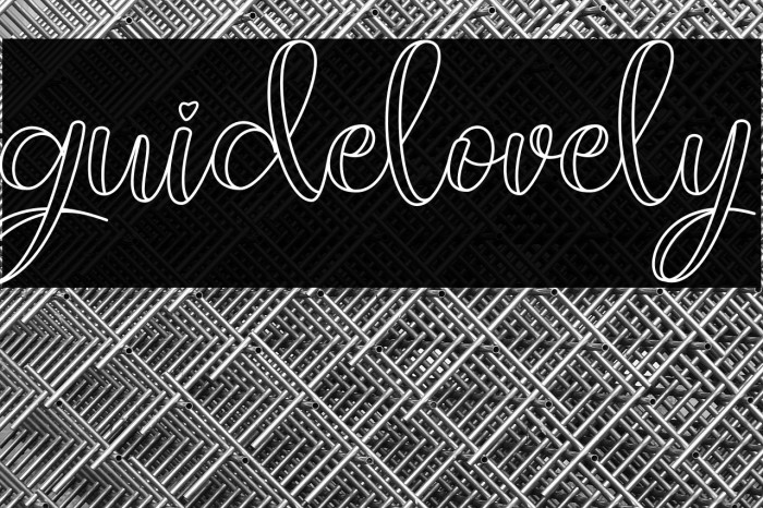 guidelovely Example 3