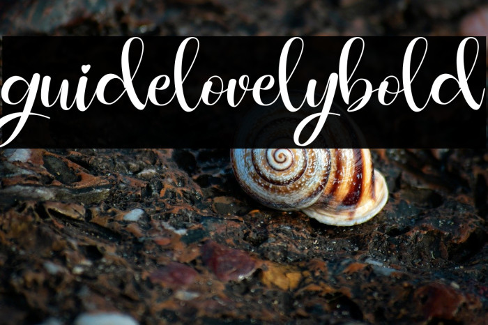 guidelovelybold Example 1