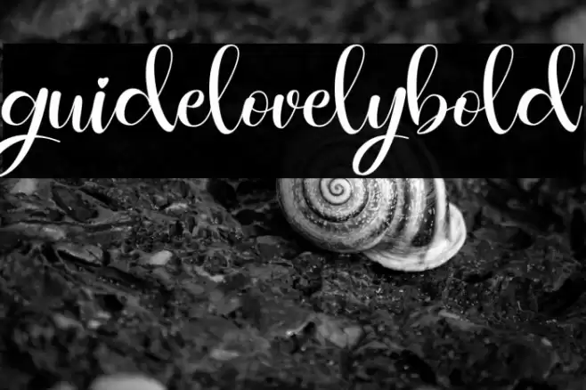 guidelovelybold Font examples