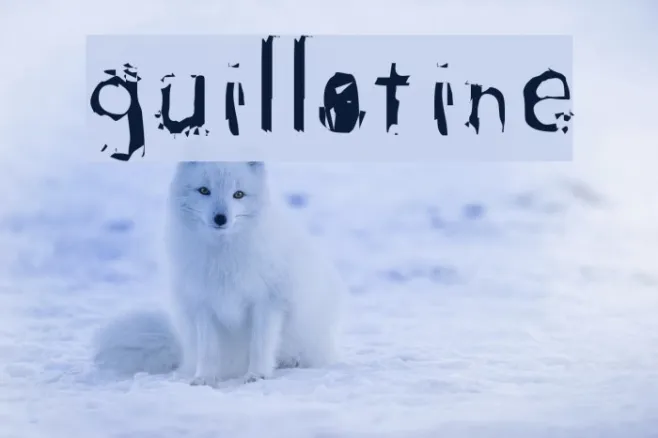 guillotine Example 2