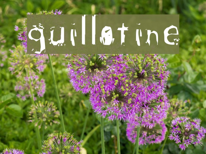 guillotine Font examples