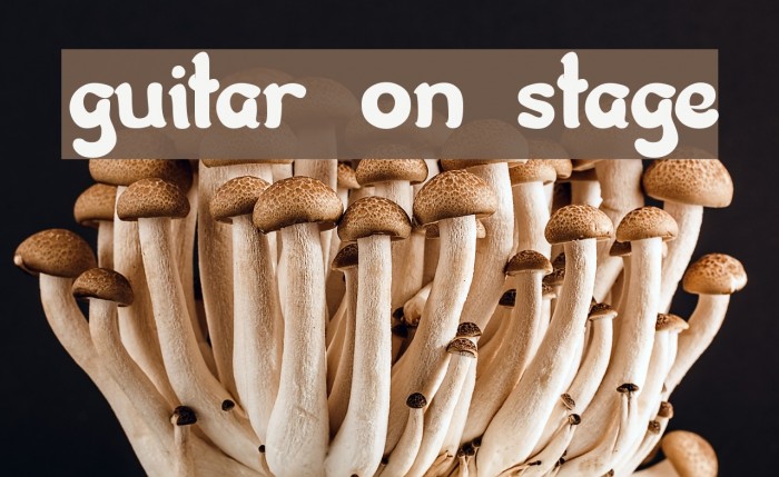 guitar on stage Font examples