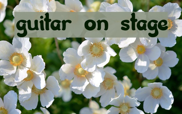 guitar on stage Font examples