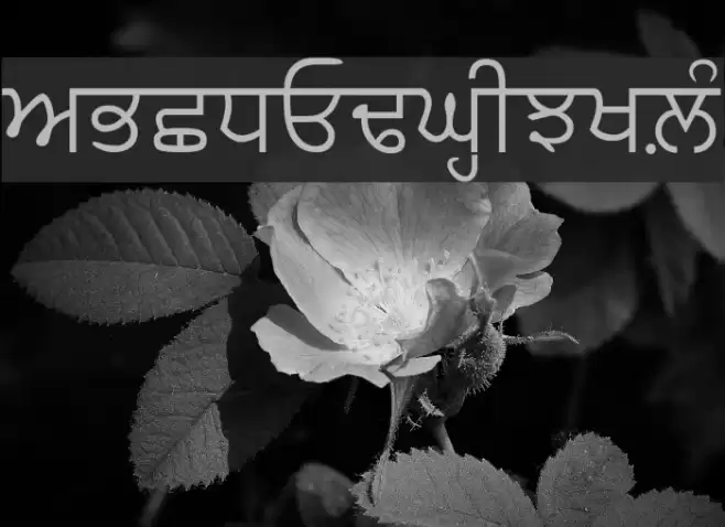 gurilpI Font examples