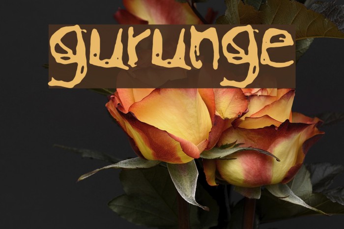 gurunge Font examples