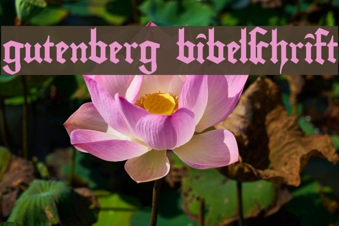 gutenberg bibelschrift Font examples